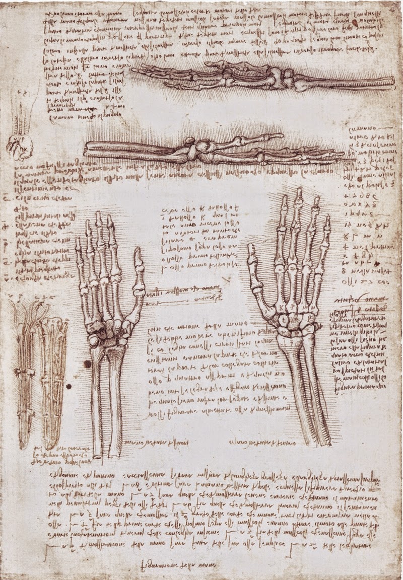 Leonardo+da+Vinci-1452-1519 (377).jpg